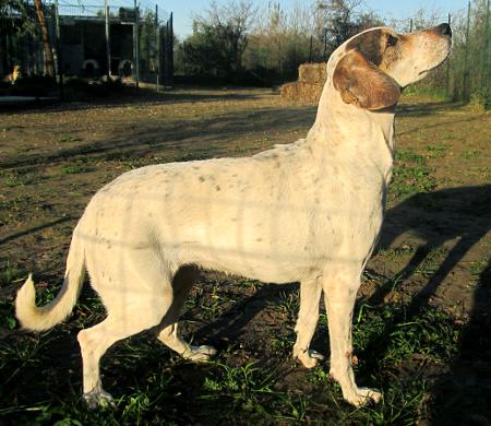 bild-4