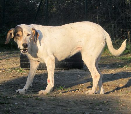 bild-3