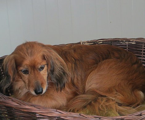 bild-3