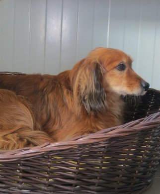bild-2