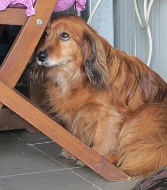 bild-2