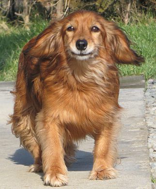 bild-5